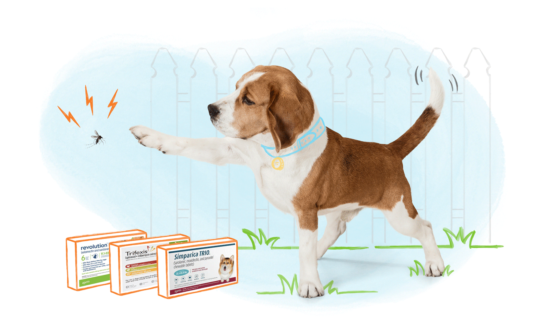 Banfield Shop | Pet Online Pharmacy, Health & Wellness Products